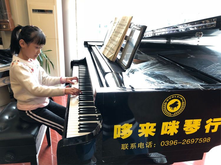 驻马店琴行在哪里(驻马店乐海琴行在哪里)