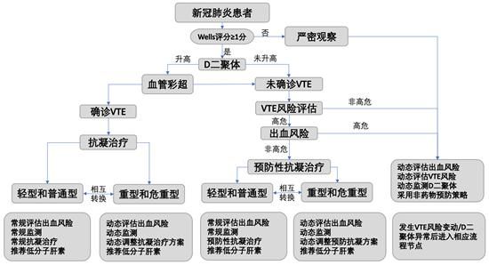包含新冠肺炎进化名称顺序的词条