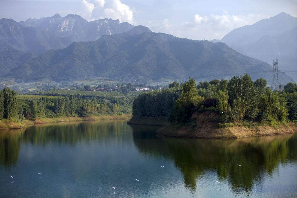 杨庄在哪里(杨庄大集在哪里)