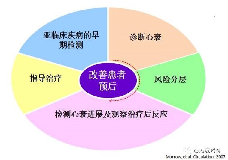 网络公关在哪些方面能发挥作用(网络公关在哪些方面能发挥作用问答题)