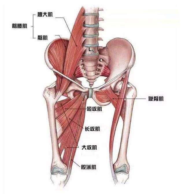 腰椎5节按疼(脊椎有几节按着非常疼)
