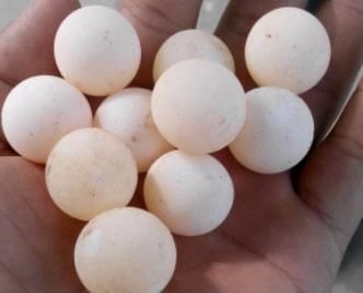 蛋窝在哪里(蛋盾在哪里刷) 蛋窝在哪里(蛋盾在哪里刷)