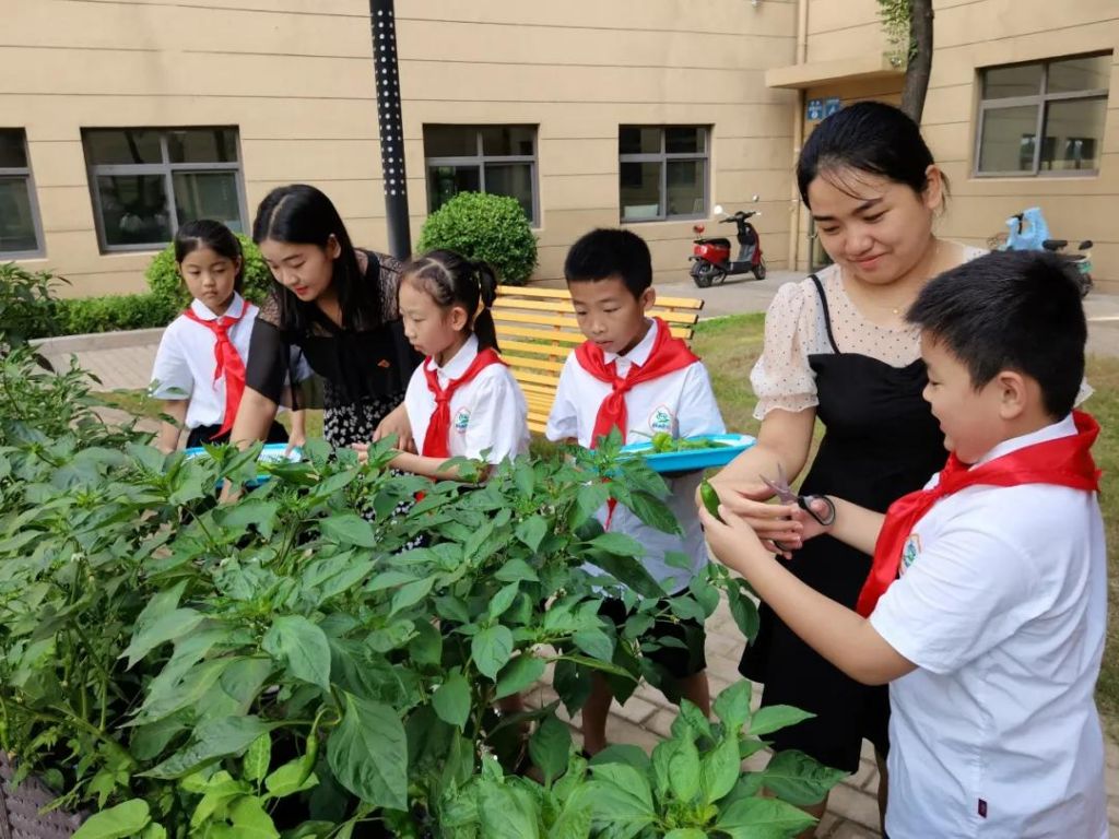 郑州桐柏路小学在哪里(郑州桐柏路农贸市场在哪里)