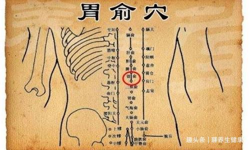 天枢在哪(天枢在肚子的什么地方)