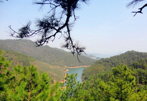 安阳乡在哪(顺平县安阳乡的简历)