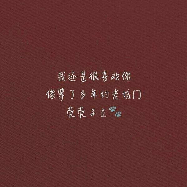 我很爱你我更希望你也爱我的简单介绍