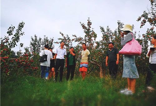 长春采摘园在哪里(长春哪有草莓采摘园)