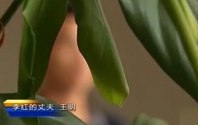 借种在哪里可以看(借种类灭门惨案无删减)