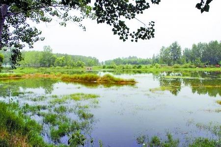 沙河公园在哪里(商丘沙河公园介绍)