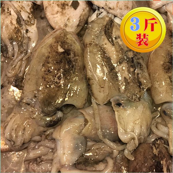 舟山海鲜批发墨鱼仔(墨鱼是海鲜吗是发物吗)