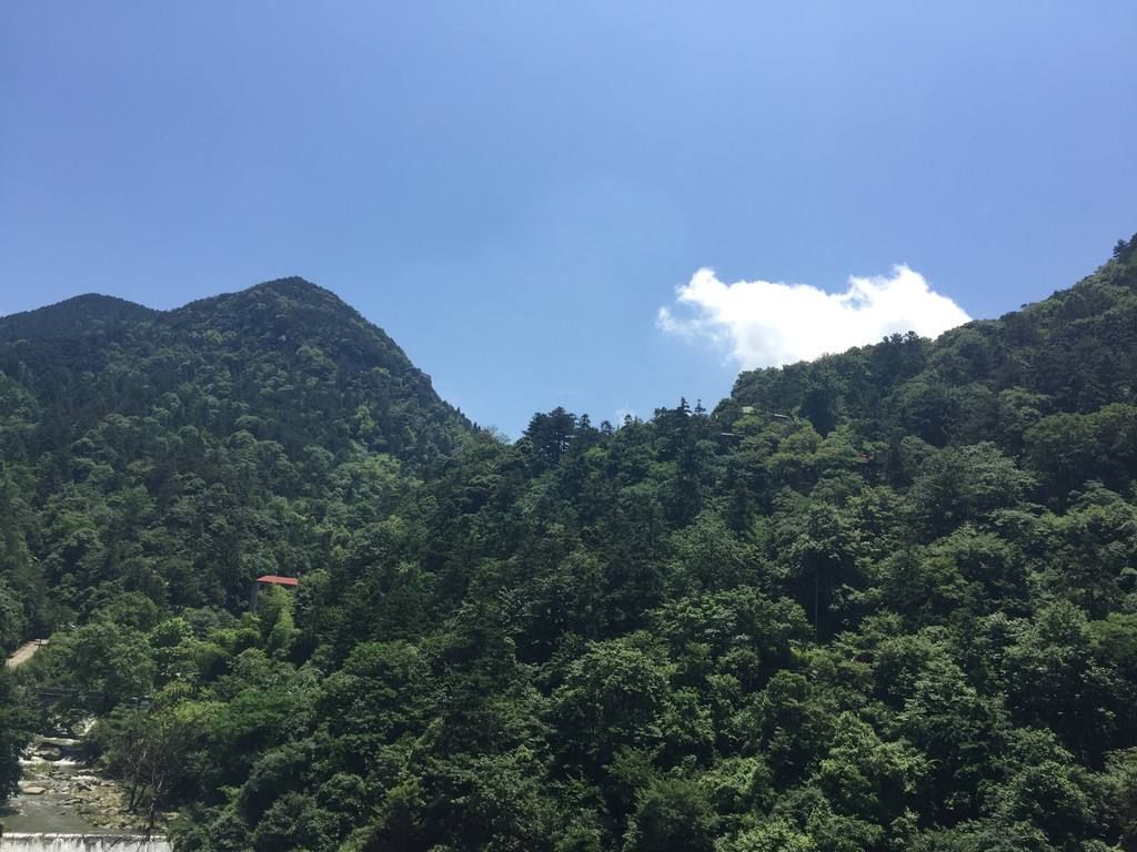 庐山一日游必备食品(庐山旅游攻略门票价格)