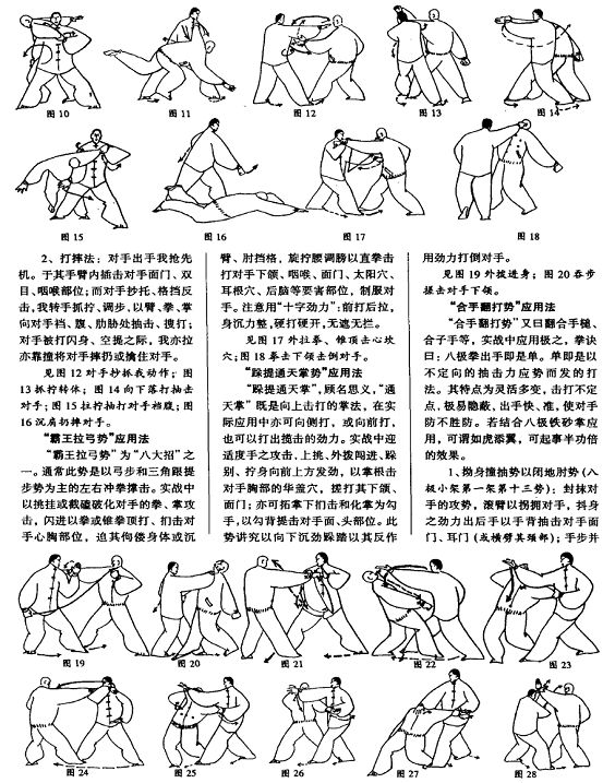 八极拳徐瑞才在哪教(徐瑞才八极拳12趟行劈)
