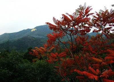 翠微山在哪里(北京西山有座翠微山)
