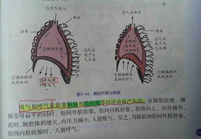 右下腹部长时间岔气是什么症状的简单介绍