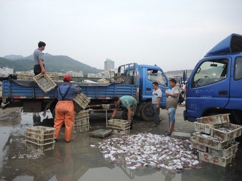 威海皂埠村码头在哪里(威海皂埠码头几点卖海鲜)