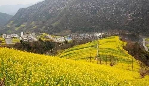 绵阳母猪湾在哪里(绵阳母猪湾家具一条街)