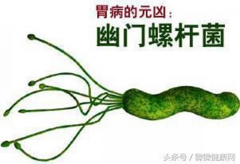 包含有了幽门螺旋杆菌可以不治疗吗的词条