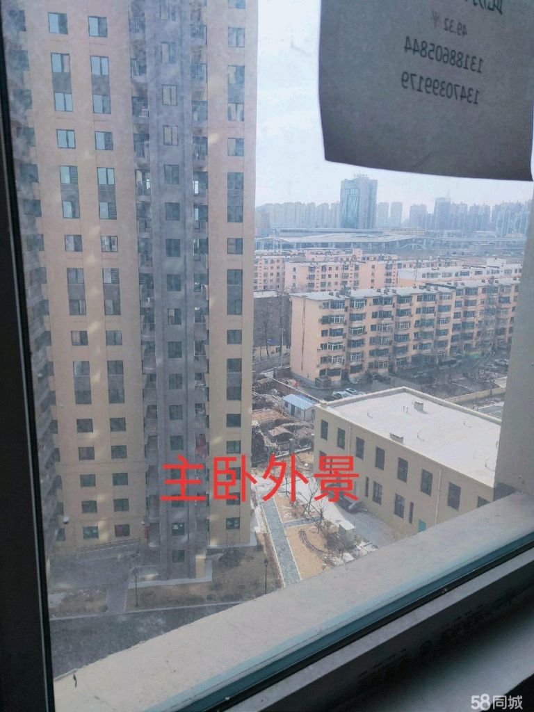关于辽阳小庄女在哪条街的信息