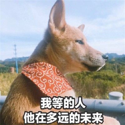 单身在哪儿(单身在深圳打工如何解决性欲)