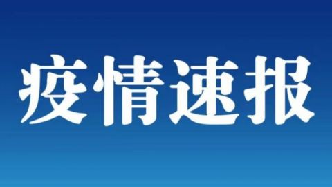 河北市疫情最新状况(河北市县疫情最新消息)