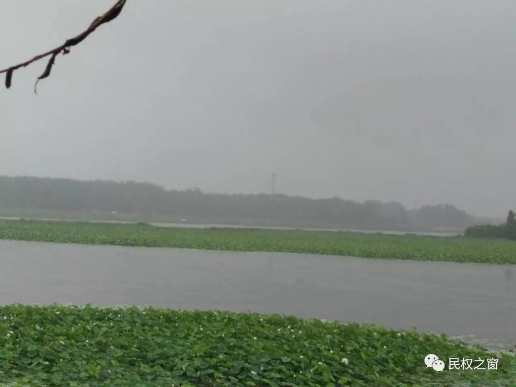 民权湿地公园在哪(民权黄河故道湿地公园)
