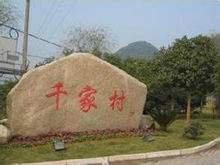 三门县三角塘村书记(三门县浦坝港镇三角塘村)