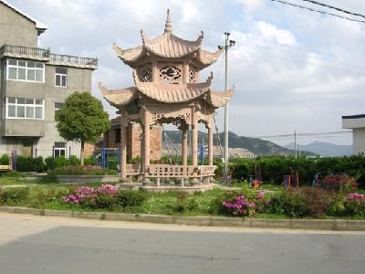三门县三角塘村书记(三门县浦坝港镇三角塘村)