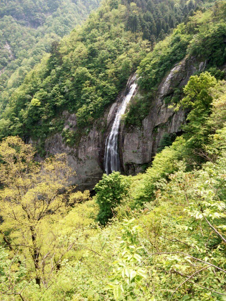 杨安岭在哪(小心安岭在哪)