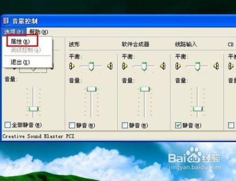 电脑没有声音在哪里设置(电脑浏览器声音设置在哪里设置)