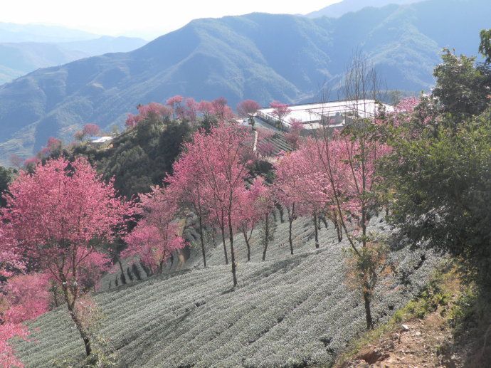 云南南涧在哪(云南南涧在哪里)