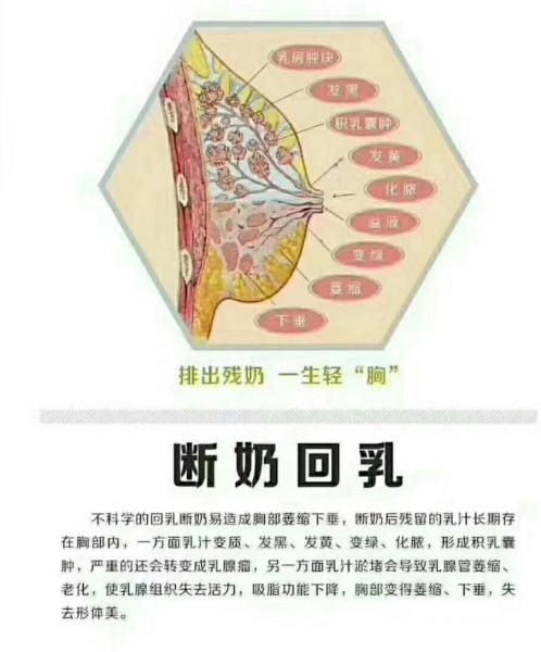 关于断奶期间里面有硬块正常吗的信息