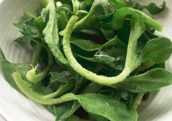 冰菜在哪买(冰镇牛奶在哪买)
