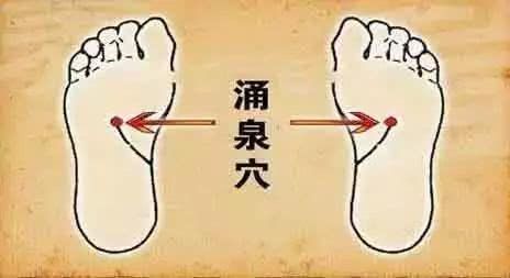 包含脚踝三寸处在哪儿图解的词条