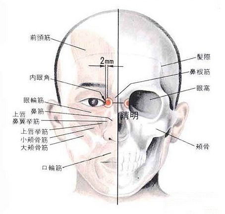 关于晴明穴在哪的信息