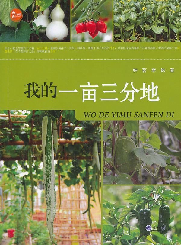 一亩在哪(墨怡沐在哪)