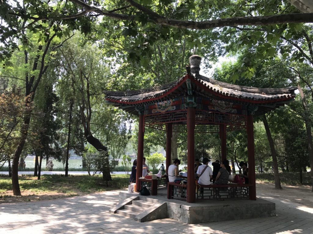 青年湖在哪(茂南区青年湖水库)