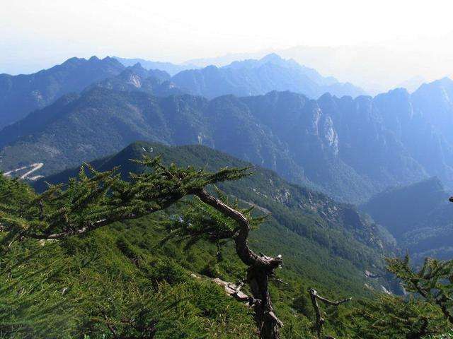 秦岭最高峰在哪里(秦岭最高峰海拔多少米)
