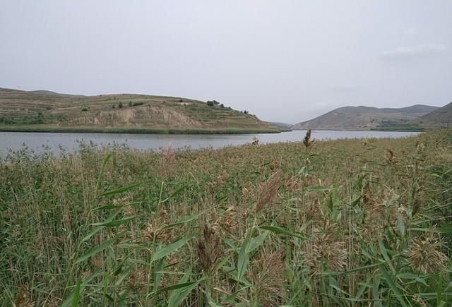 震湖在哪里(奇墅湖在哪里)