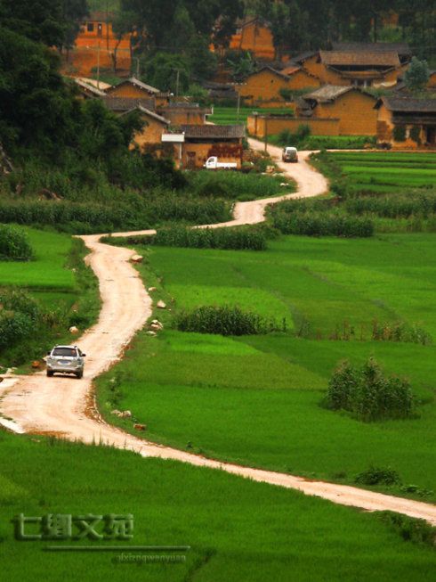 路路在哪(路路在哪里直播)