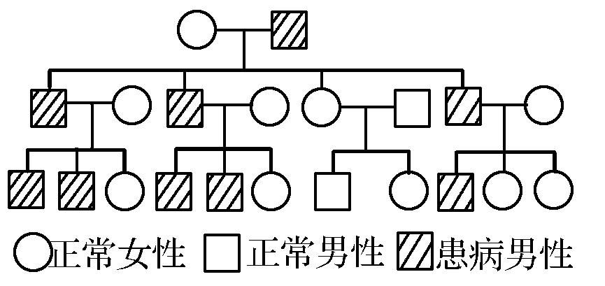 色盲基因在哪个染色体(母亲是色盲父亲是携带者)