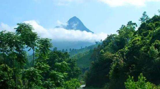 福建五指山在哪里(五指山热带雨林风景区)