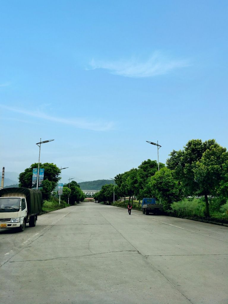 沙湾区在哪里(沙湾区人民政府官网)