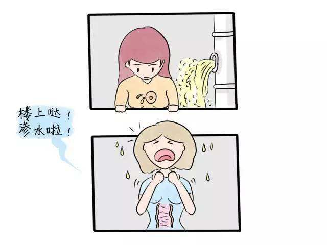 阴道在哪个部位(阳蒂位置医学图片)