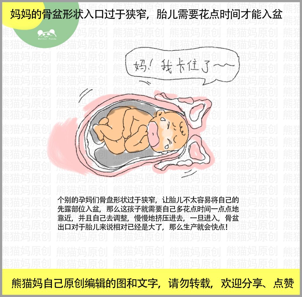 孕妇骨盆在哪里(孕妇骨盆疼怎么回事)