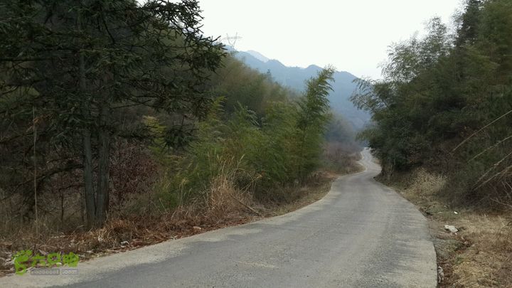 株洲鸡婆一条街在哪里(株洲有名的小吃一条街在哪里)