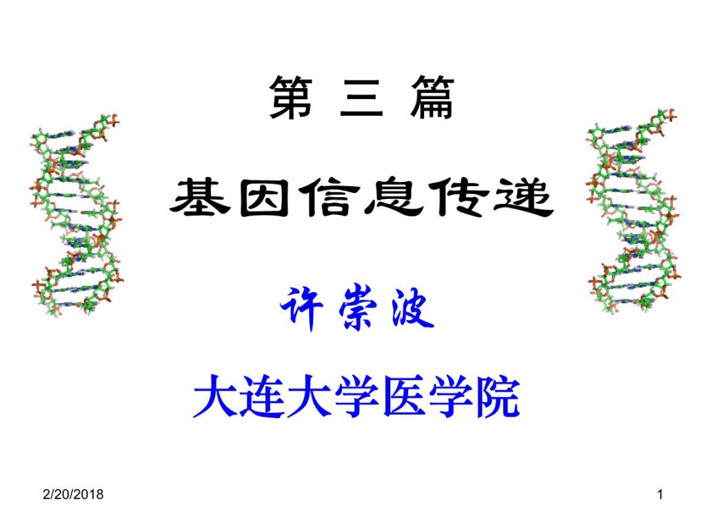 dna复制在哪个时期的简单介绍