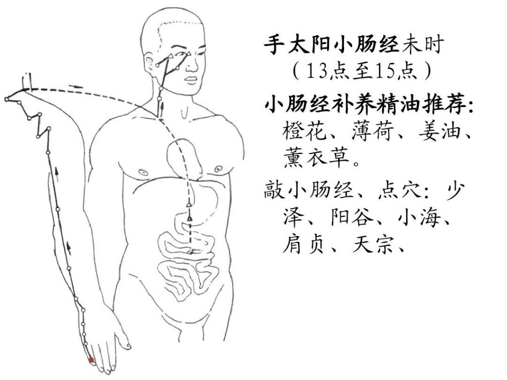 小诲穴在哪里(小指外侧的穴位叫什么)
