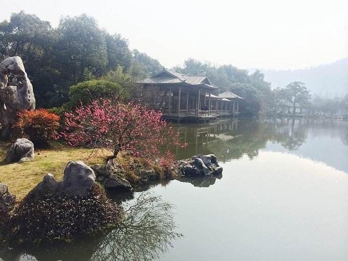 连花港在哪(莲花口岸过关时间)