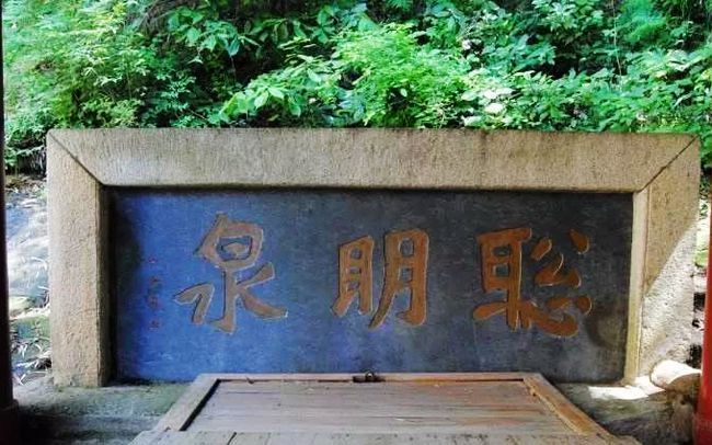 东林在哪里(乐山市东林镇)
