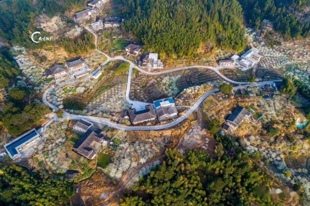 草村在哪(翁草村怎么去)